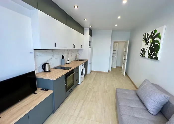 Apartment Premium In Center